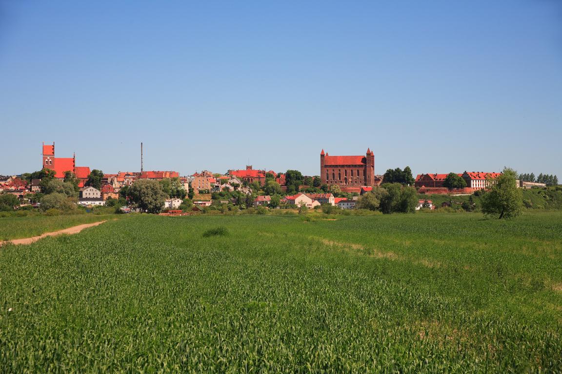 Gniew
